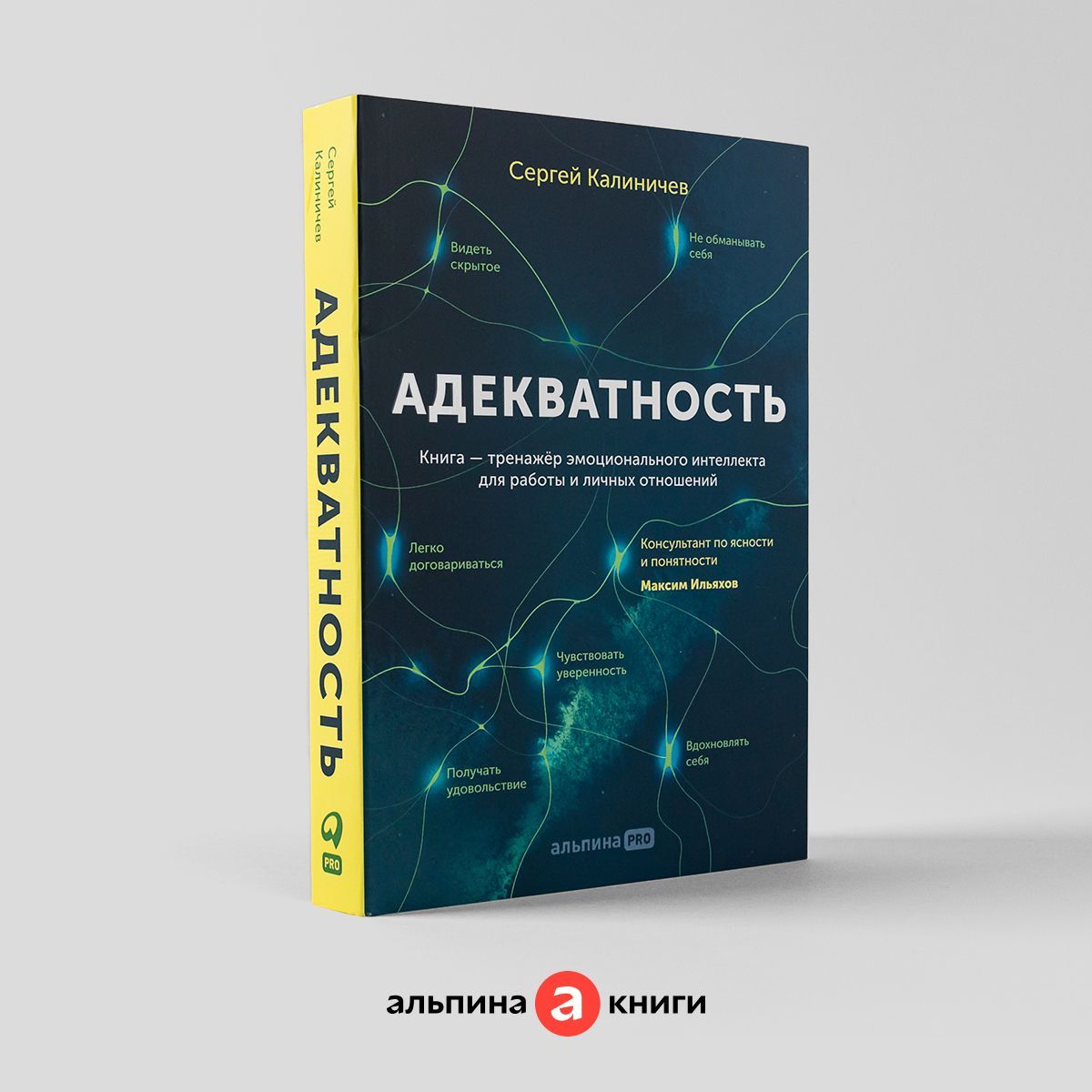 Адекватность. Как видеть суть происходящего, принимать хорошие решения и  создавать результат без стресса / Саморазвитие | Калиничев Сергей - купить  с доставкой по выгодным ценам в интернет-магазине OZON (669804154)