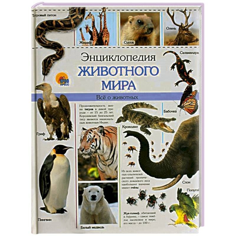 Чем могут гордиться жители вашей местности в плане охраны животного мира а чего стыдиться биология