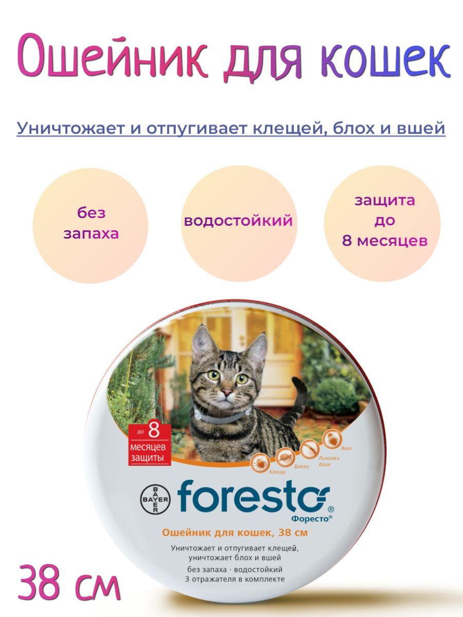 Форесто ошейник для собак от блох отзывы. Форесто ошейник для собак.