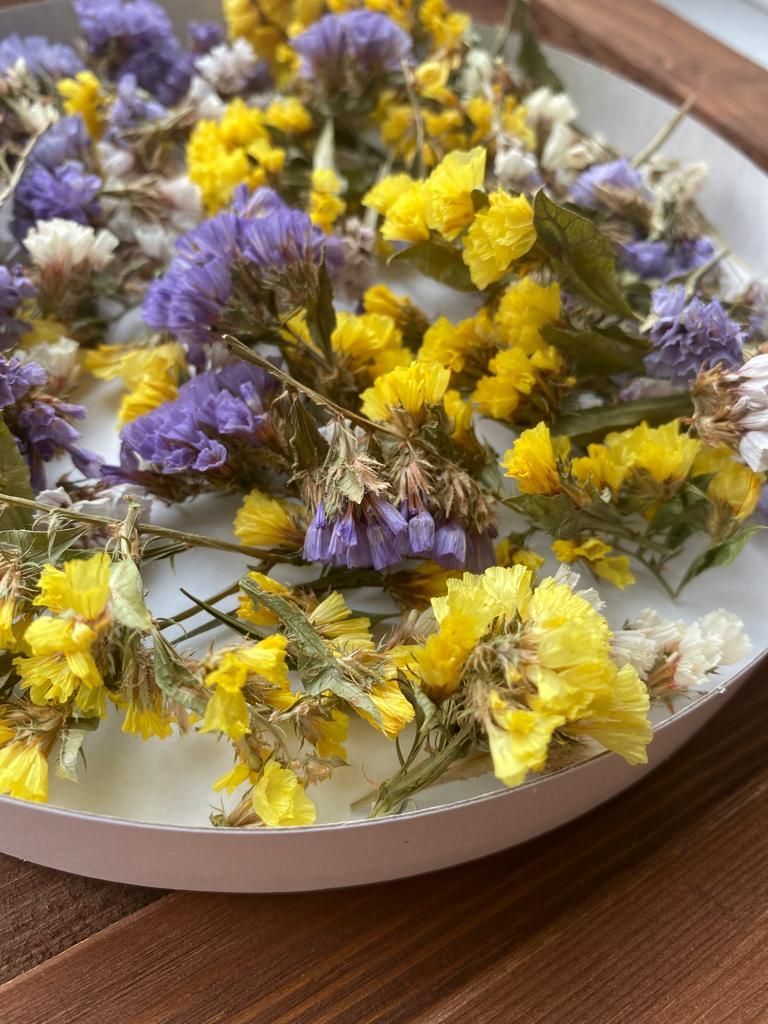 лаванда эвкалипт сухоцветы. берк сухоцвет. травяной веник "тысячелистник". бруния сухоцвет. лагурус кроличий хвостик.