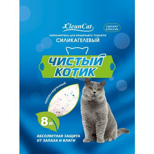 Чистый котик