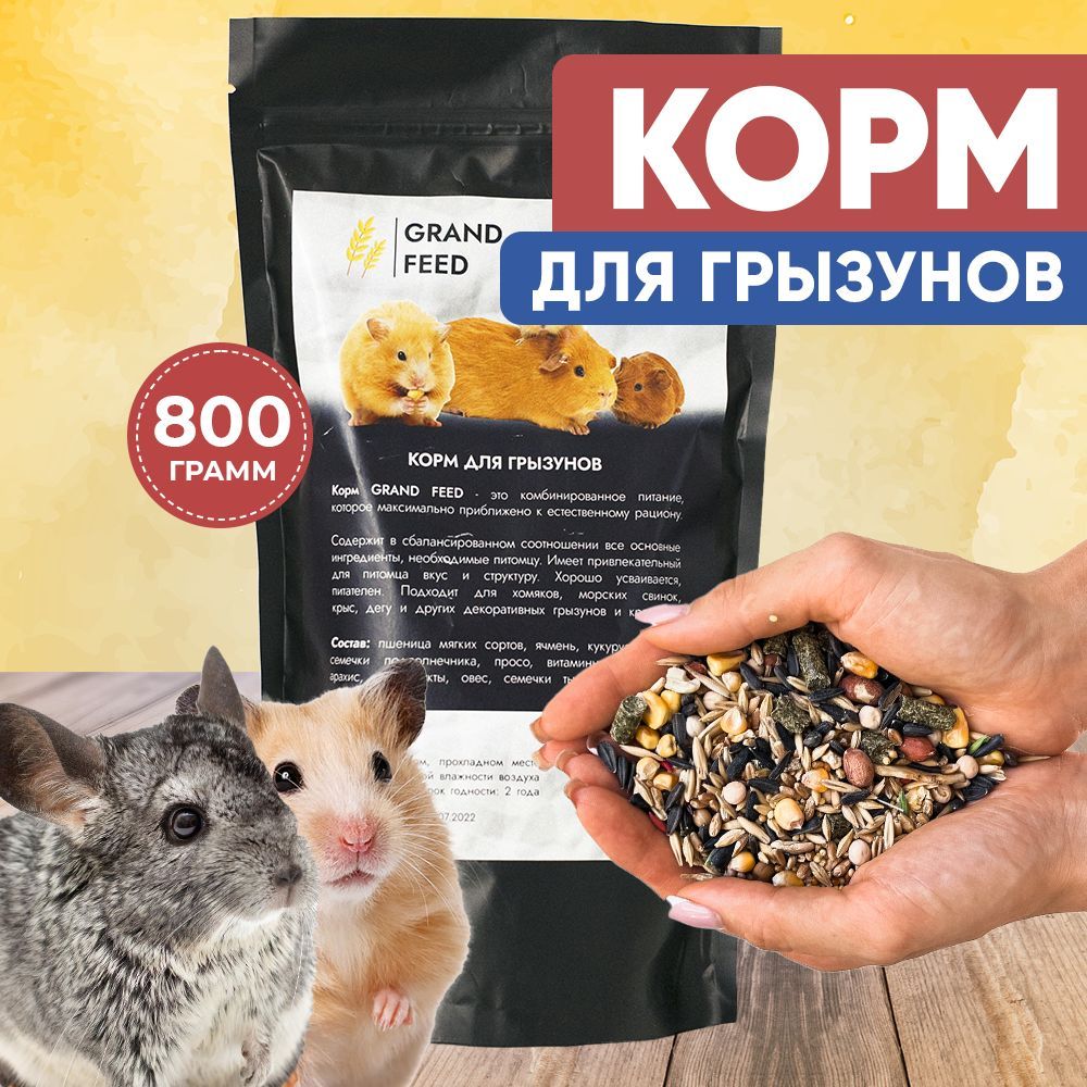 GRANOFEED Сухой корм зерносмесь для грызунов хомяков крыс мышей морских  свинок, 800г - купить с доставкой по выгодным ценам в интернет-магазине  OZON (659015724)