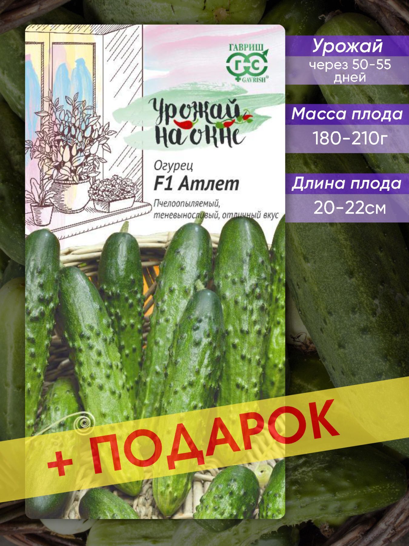 Сорт огурца атлет. Гавриш огурец Динамит. Огурец Алексеич f1 10шт/10. Огурец Нахаленок f1 10шт/10. Огурец Борисыч f1 10шт/10.