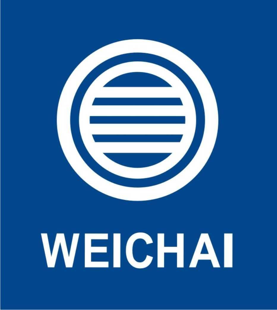 WEICHAI — купить товары WEICHAI в интернет-магазине OZON