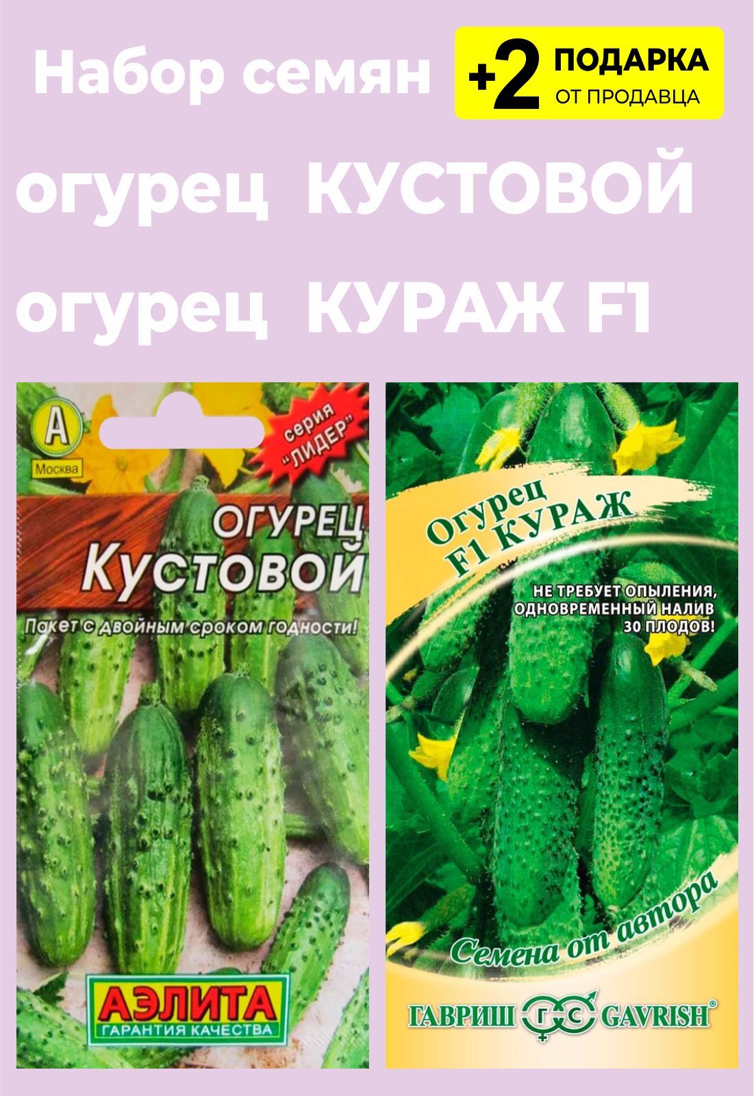 Семена огурец кустовой. Огурцы Кураж. Кустовые огурцы для открытого. Огурец кустовой описание.