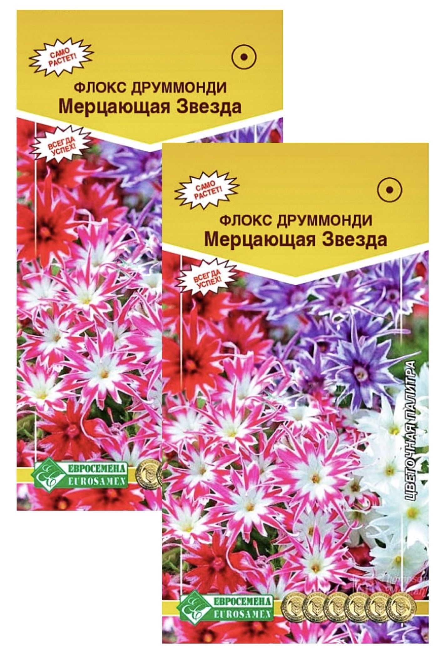 Флоксы Однолетние Купить Семена