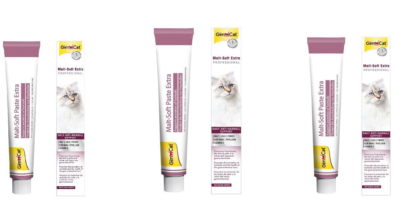 Gimcat malt soft paste. Gimcat malt soft paste