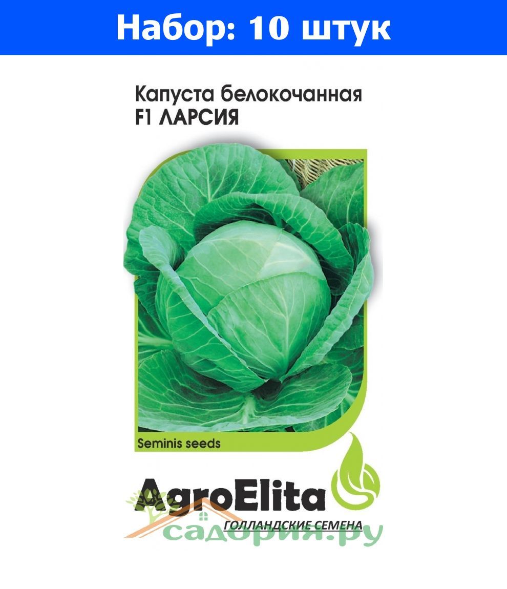 Капуста ларсия описание отзывы. Капуста Ларсия f1. Розетка у капусты. Ларсия капуста вкус.