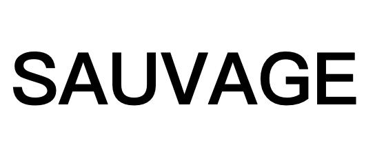 SAUVAGE — купить товары SAUVAGE в интернет-магазине OZON