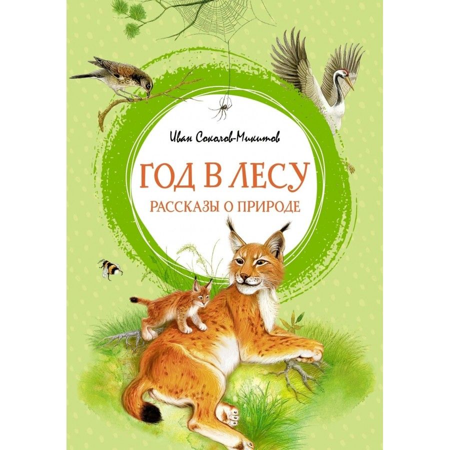 Год в лесу. Рассказы о природе. Соколов-Микитов И. С.