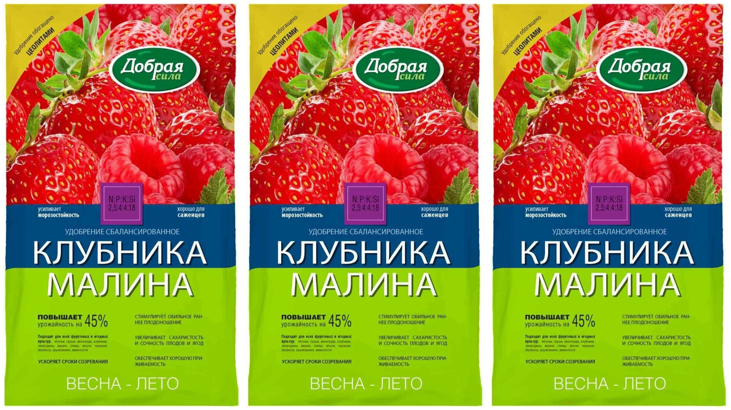 Сорт Клубники Малина Фото Отзывы