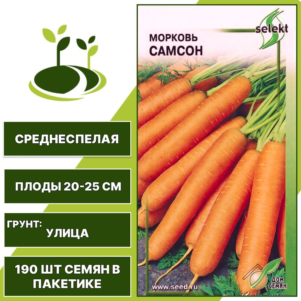 Как можно называть семена. Названия семян. Название семян моркови. Морковь. Семена. . Для. Дома. Название семян огурцов.
