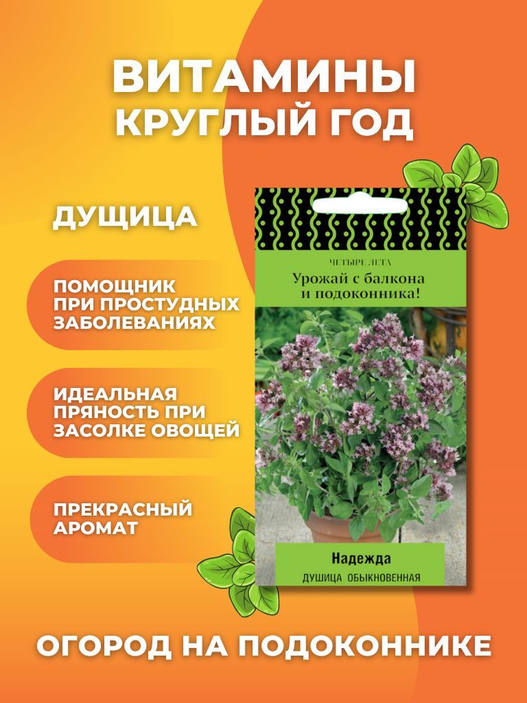 ПОИСК Агрохолдинг Seed - купить по выгодным ценам в интернет-магазине OZON  (1030698169)