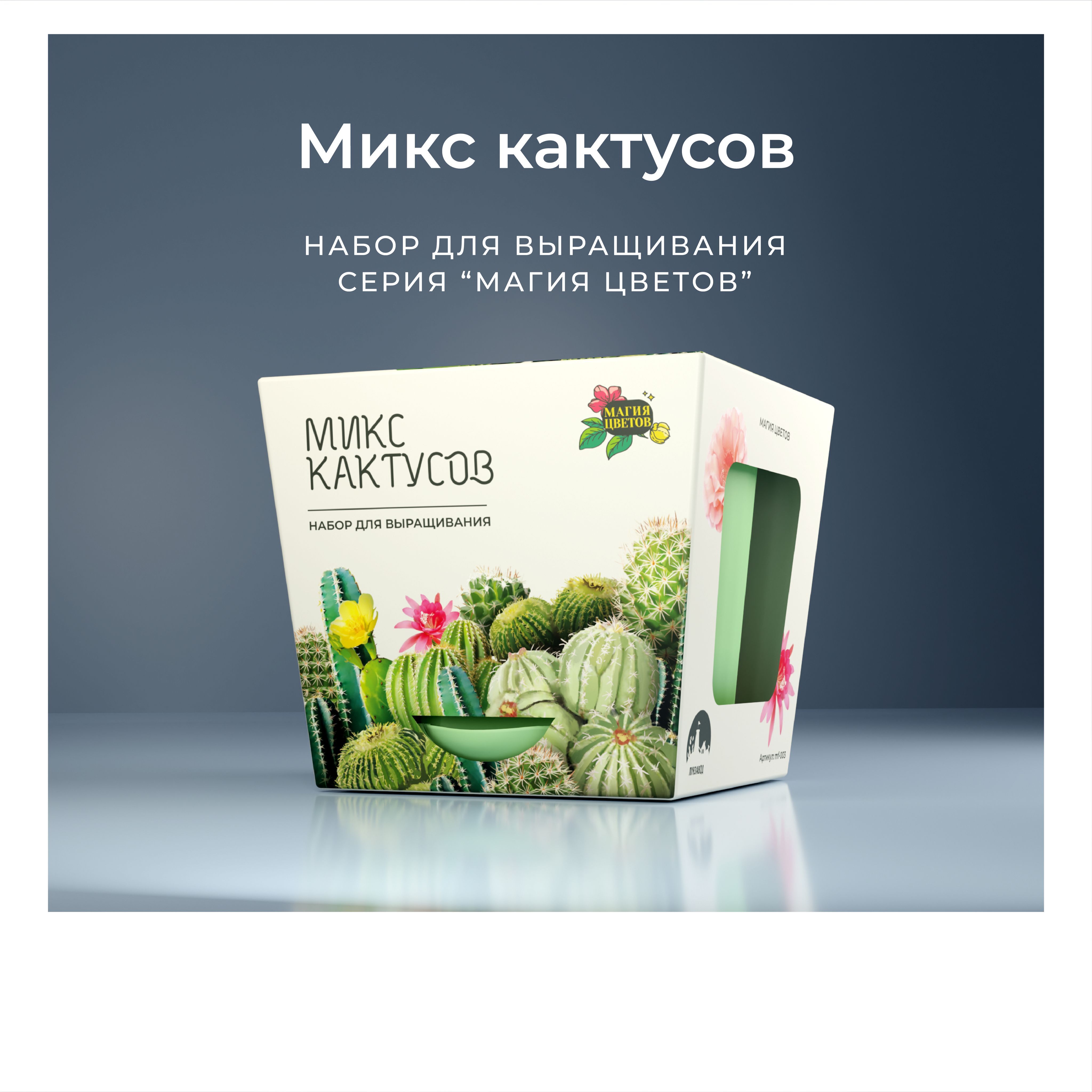 МикскактусовНабордлявыращиваниярастений