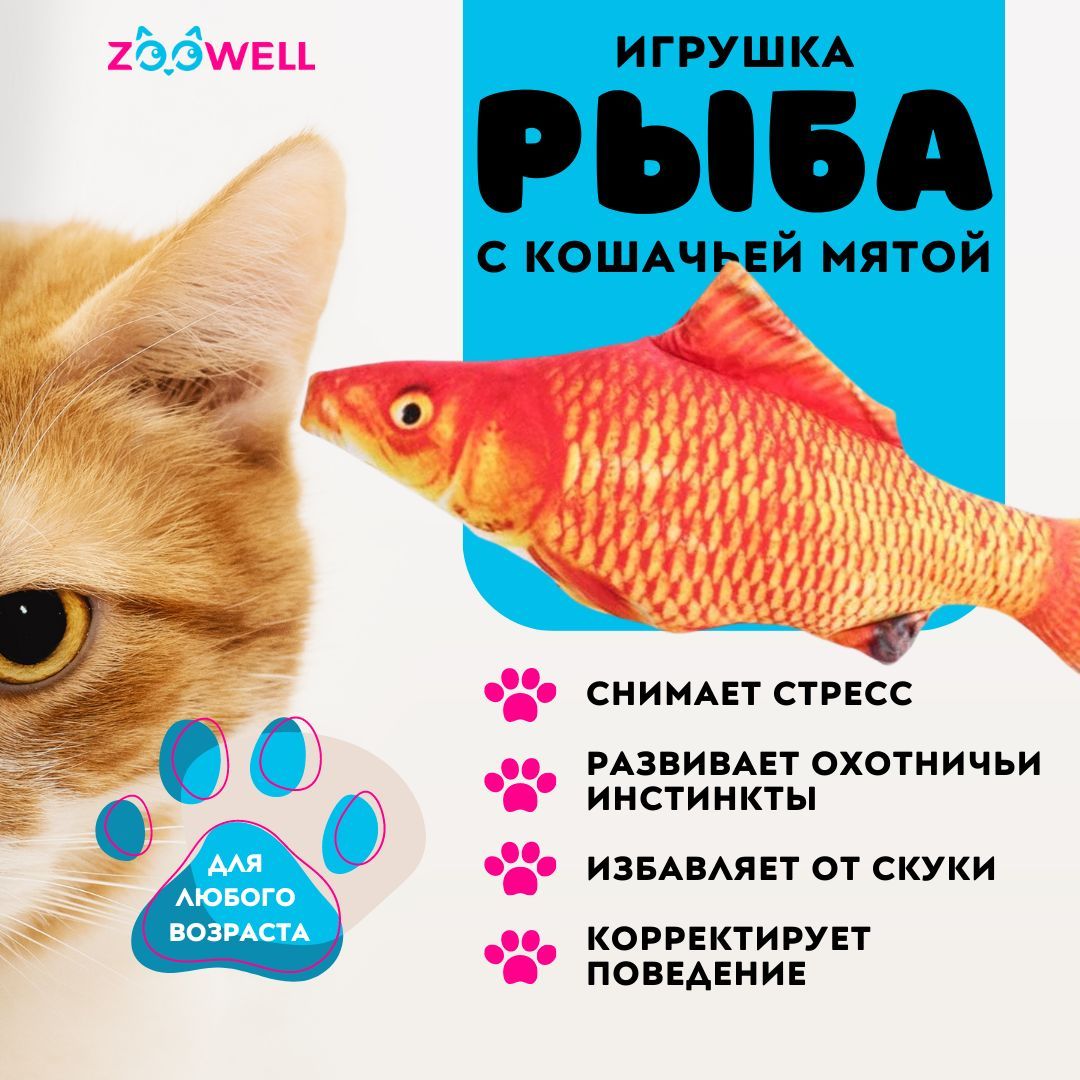 Игрушка для кошек с кошачьей мятой рыба, Карп, 20 см - купить с доставкой  по выгодным ценам в интернет-магазине OZON (957600869)