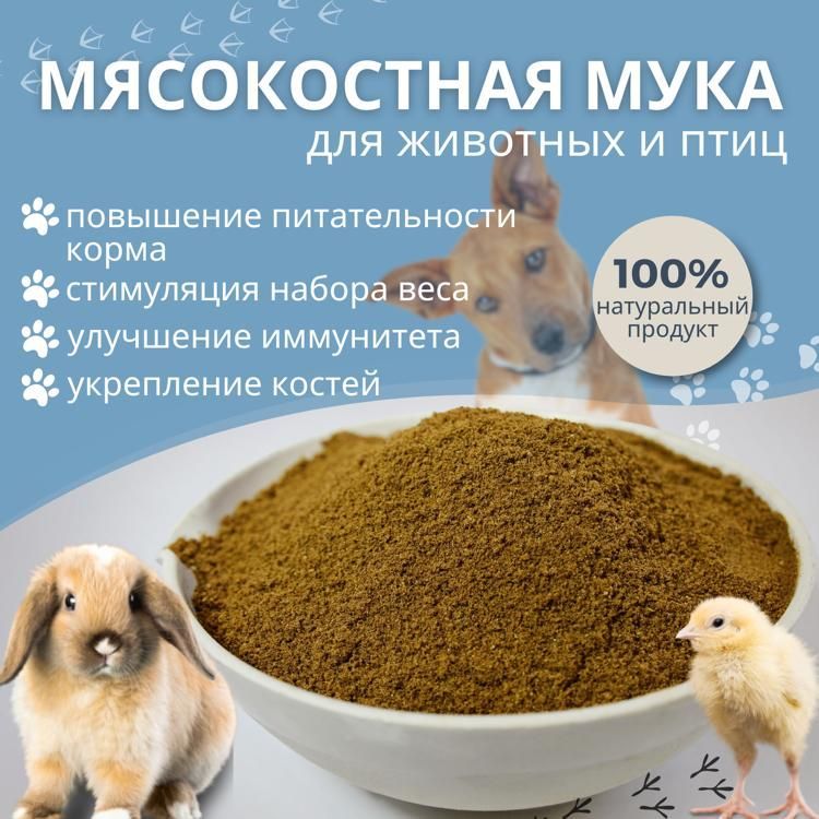 Купить Мясокостную Муку Оптом От Производителя Цена