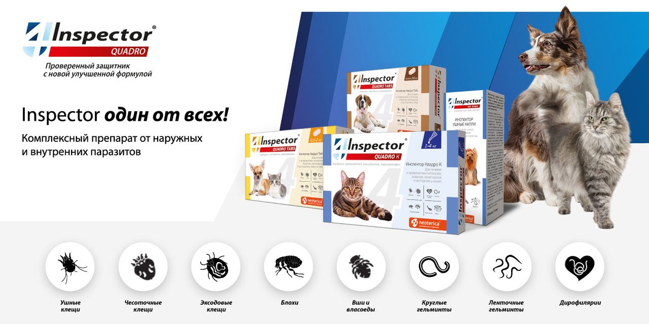 Капли от блох клещей гельминтов Inspector Quadro для кошек от 4 до 8 к(图1)