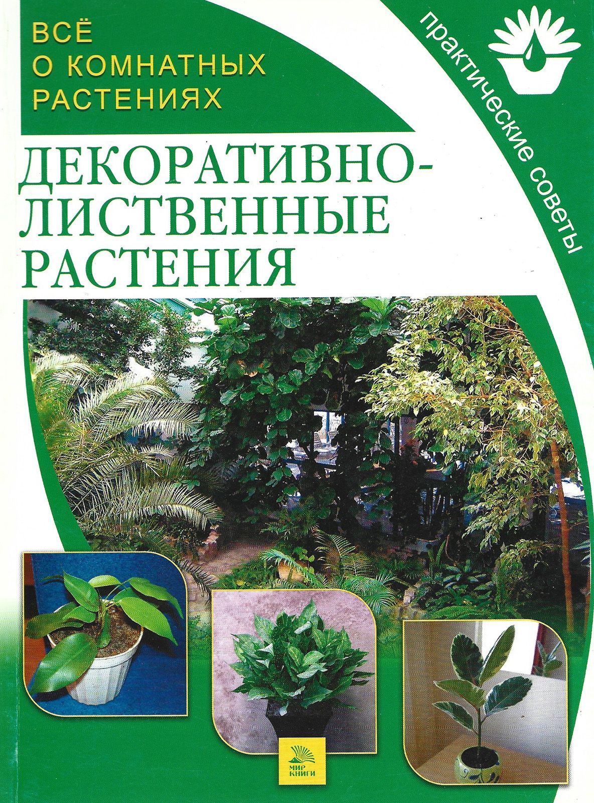 декоративные злаковые растений книга. атлас определитель декоративные травы коновалова. сухоцветы в книге. атлас определитель дикорастущих растений. растение ниола.