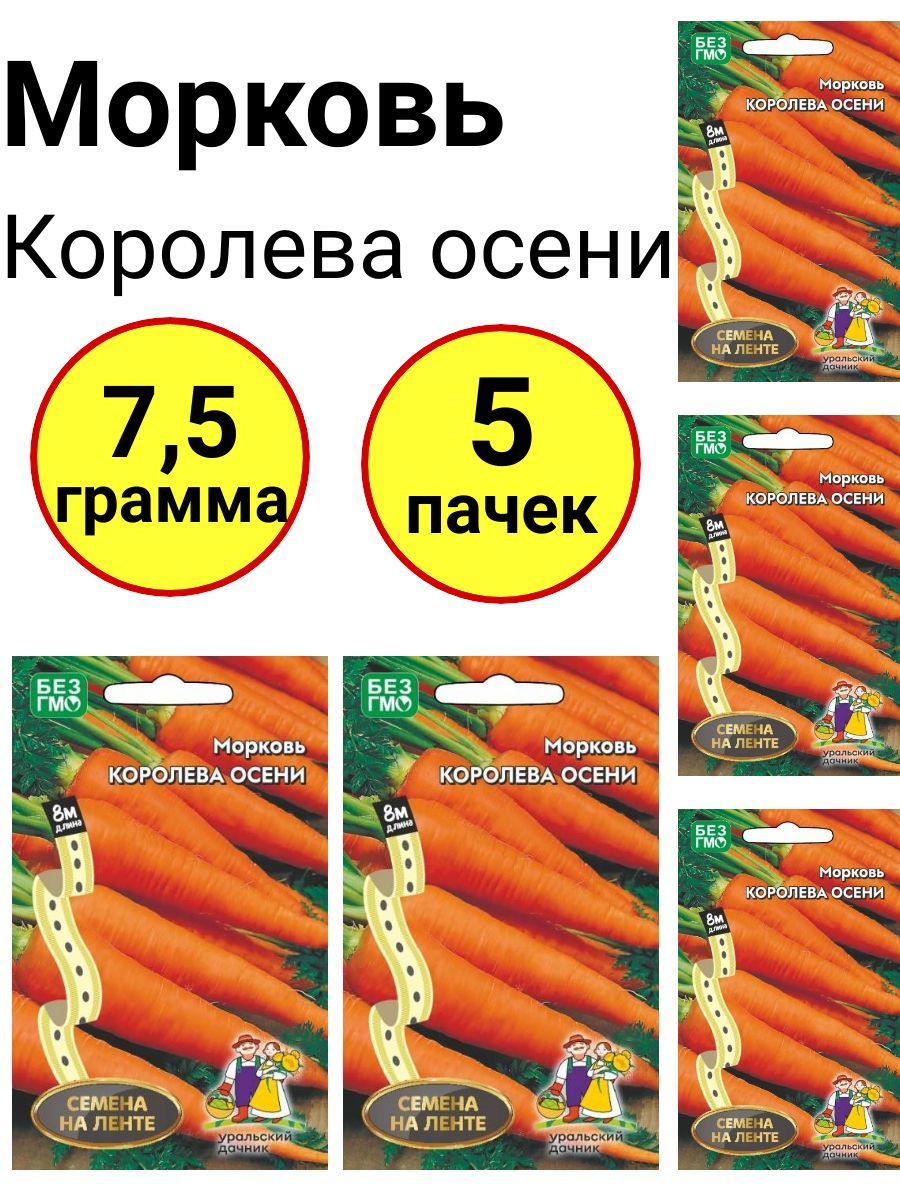 Королева Осени Морковь Фото Отзывы Описание