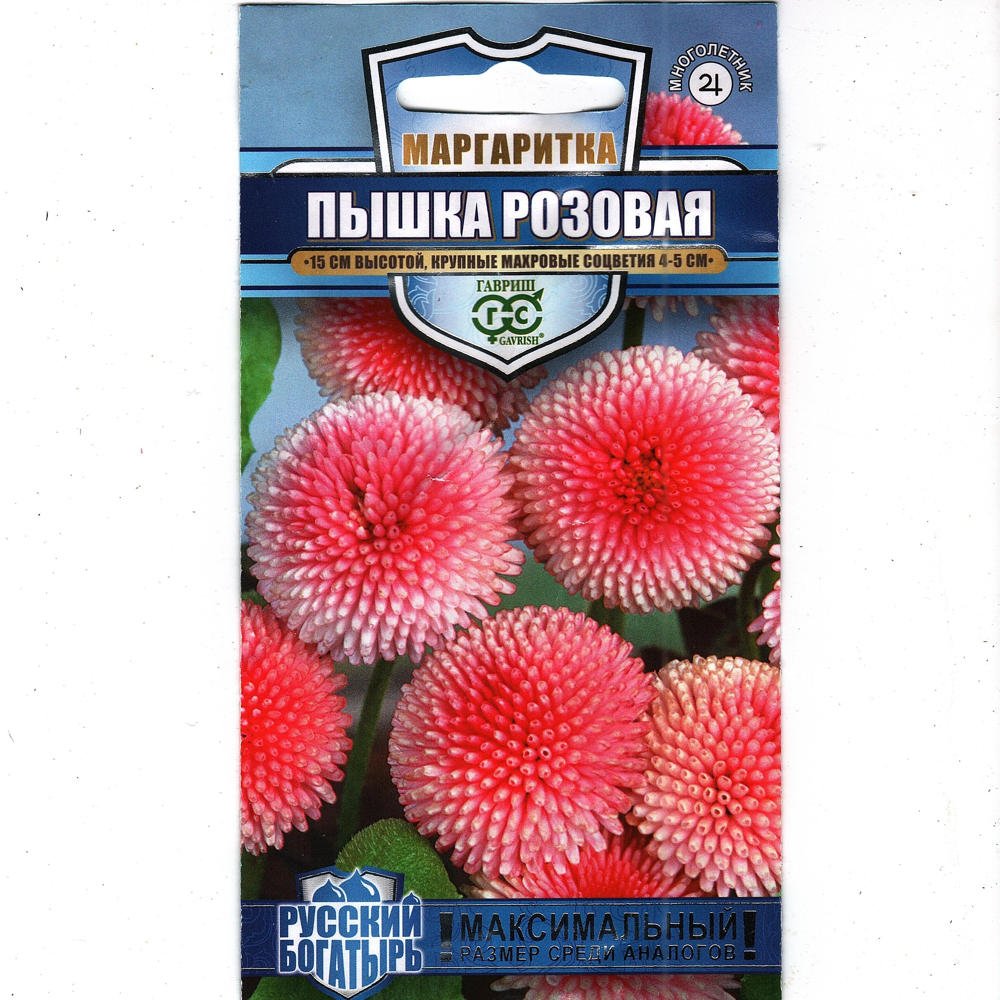 Маргаритки Семена Купить
