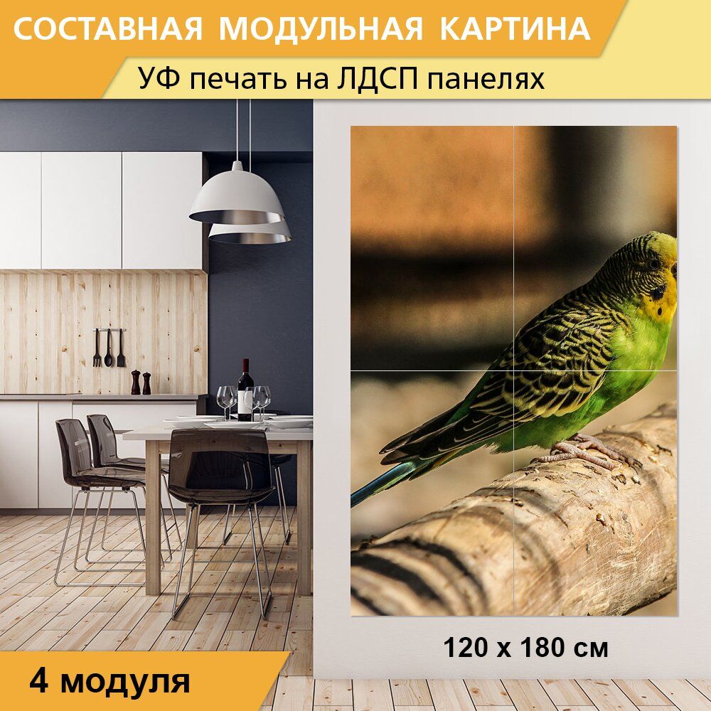 Зеленый попугай ш энтузиастов 1