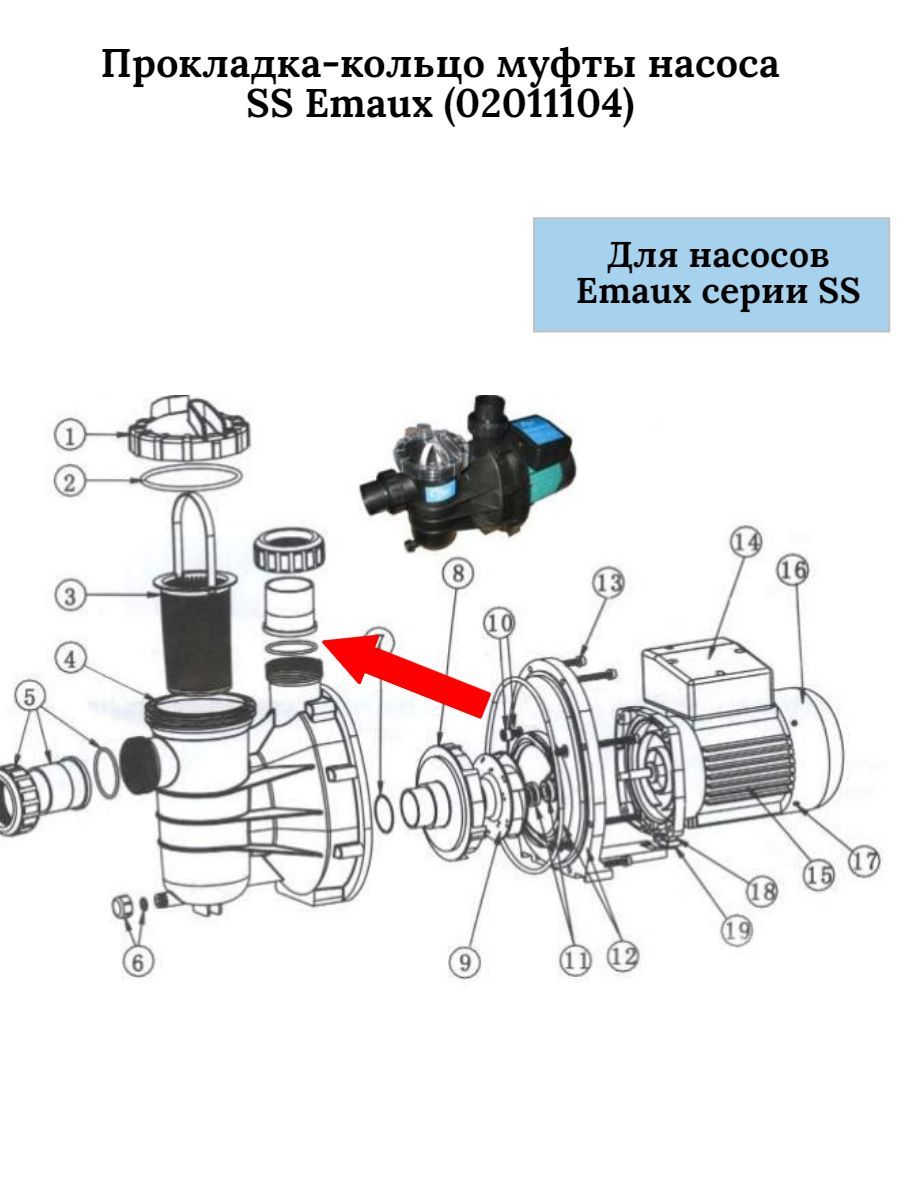 Прокладка-кольцо муфты насоса SS Emaux (02011104)