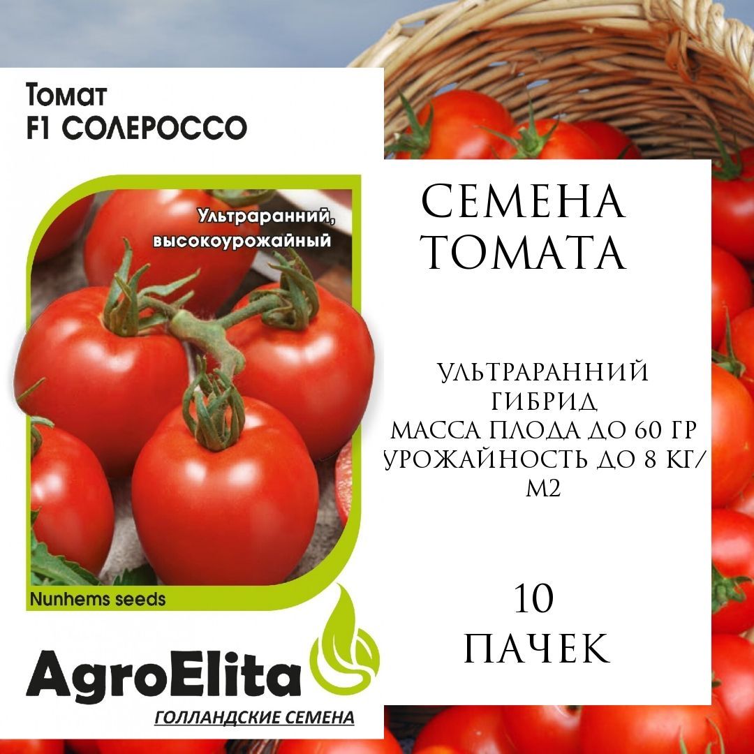Семена Томатов Солероссо – купить в интернет-магазине OZON по выгодной цене