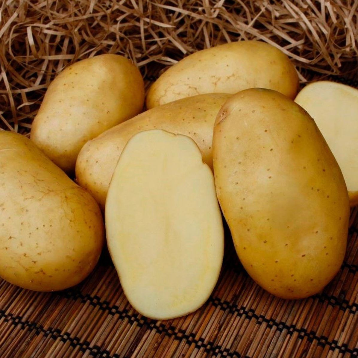 Джелли картофель характеристика отзывы. Сорт картофеля Никулинский. Семенной картофель Никулинский. Сорт Ньютон картофеля. Картофель семенной голубизна.