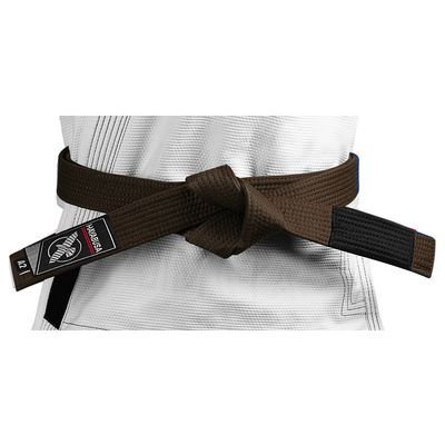 Taekwondo Blue Belt