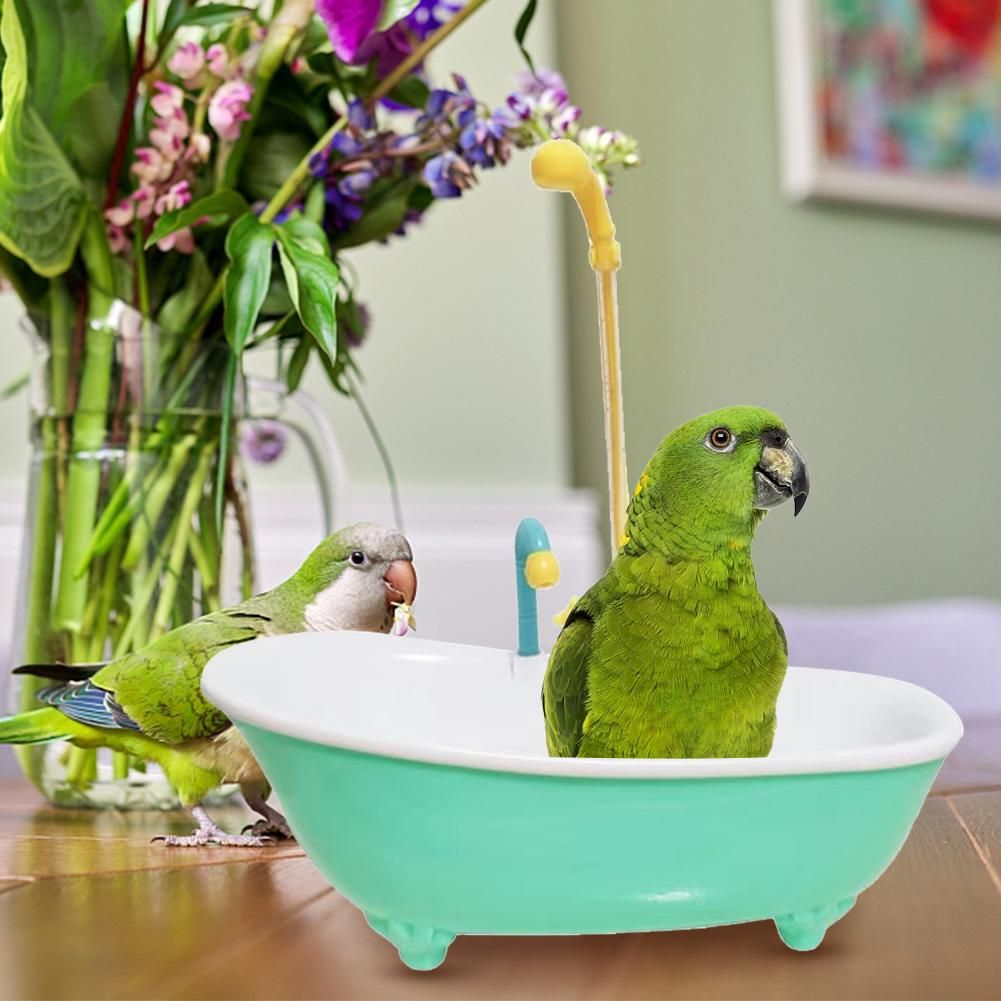 Ванночка для попугаев. Птичьи ванночки. Ванночка для попугая Triol.