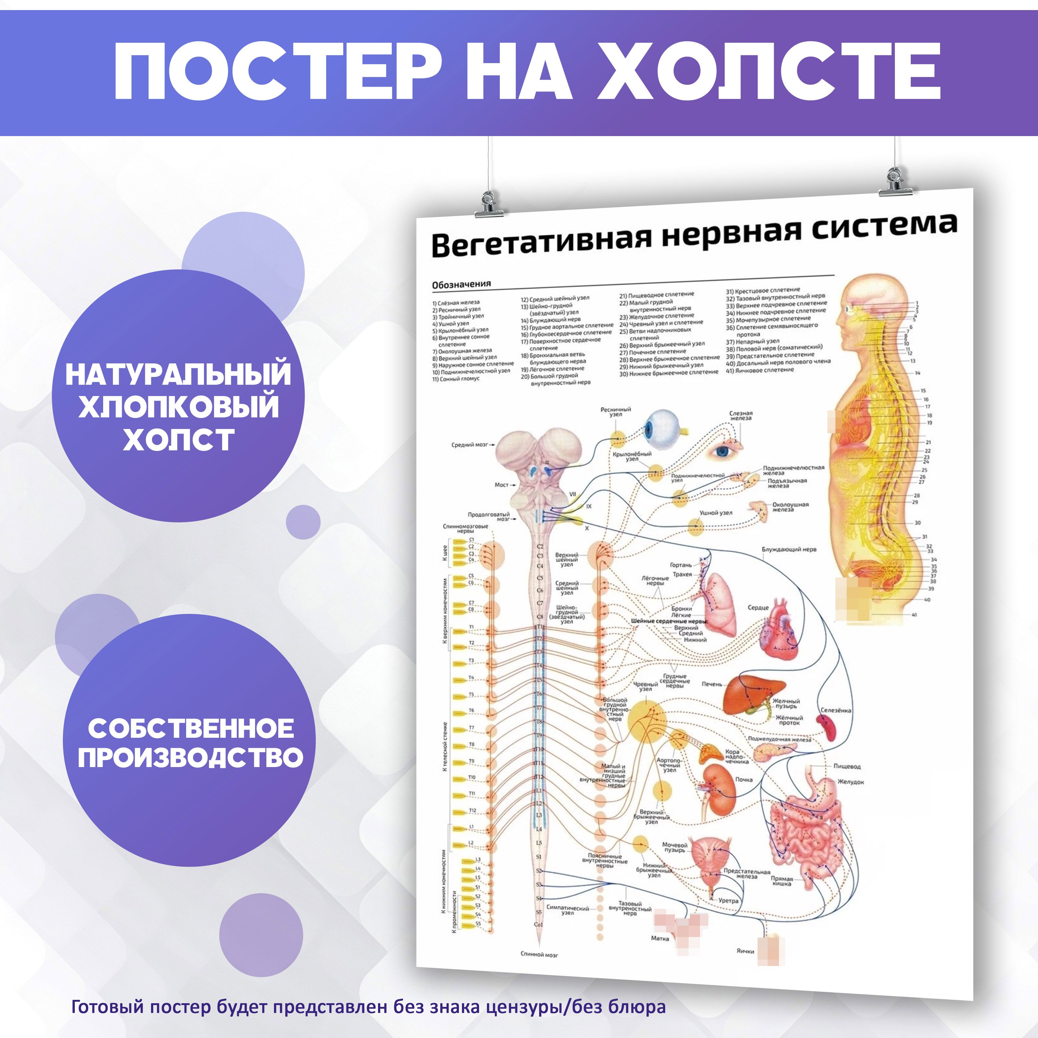 Постер PosterNak Люди купить по выгодной цене в интернет-магазине OZON  (1262815220)