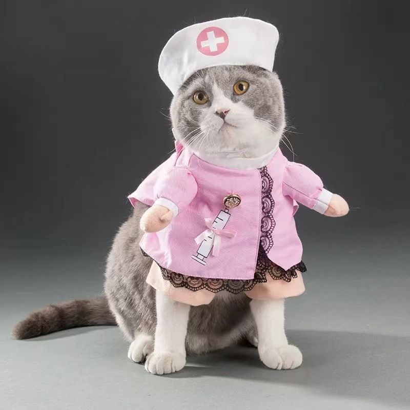 Одежда для кошек. Костюм кошки. Кот в костюме. Костюмы для котов.