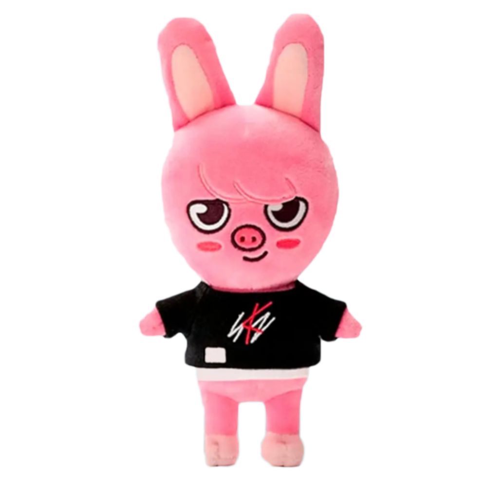 Игрушка чана. Игрушки Stray Kids SKZOO. SKZOO чанбин. Игрушка Stray Kids SKZOO Чан. SKZOO Plush игрушки Stray.