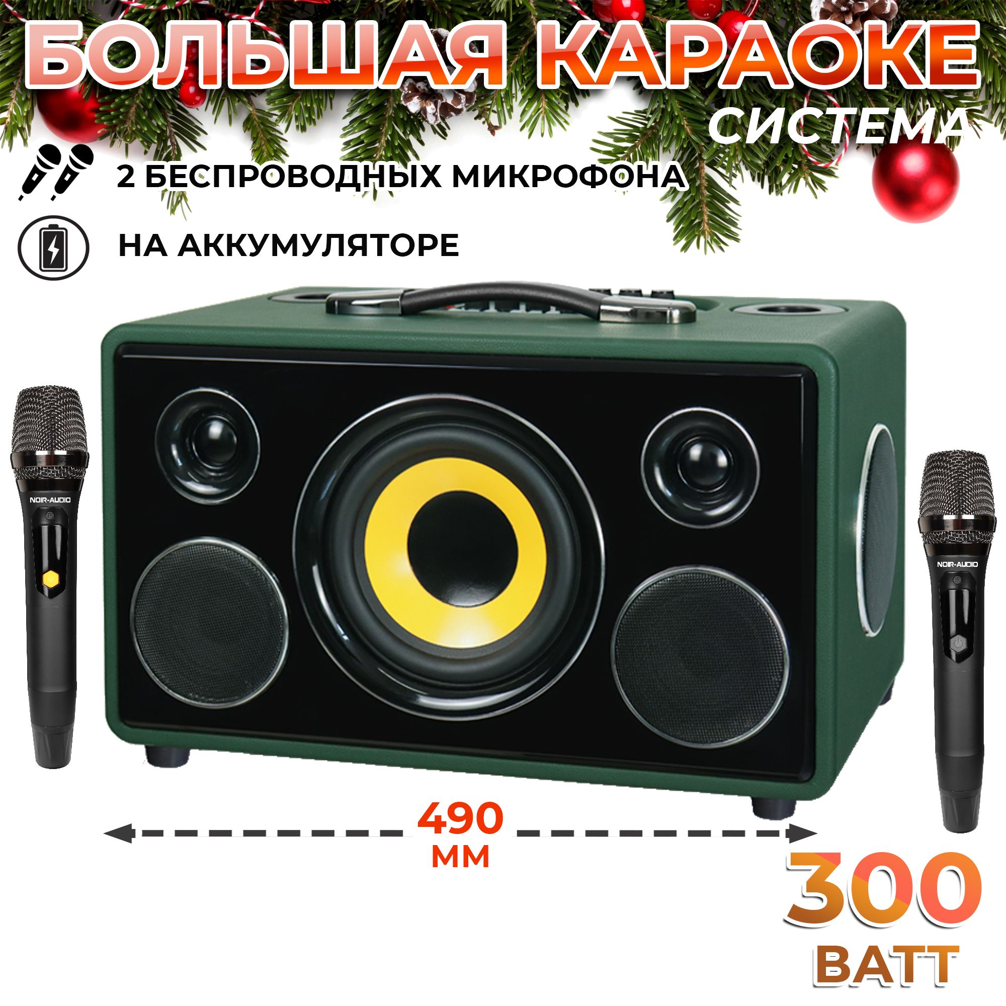 Караоке система noir audio max 300