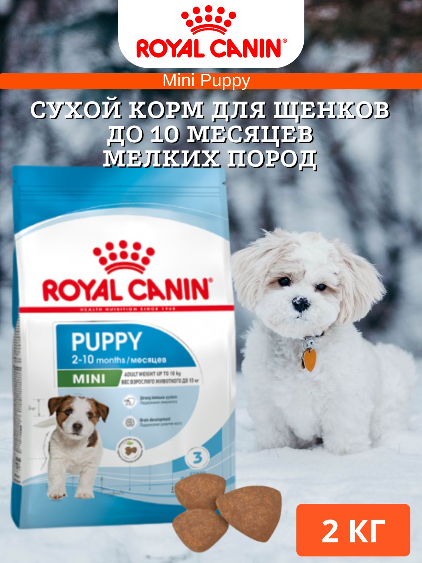 Роял Канин Puppy Mini – купить в интернет-магазине OZON по низкой цене