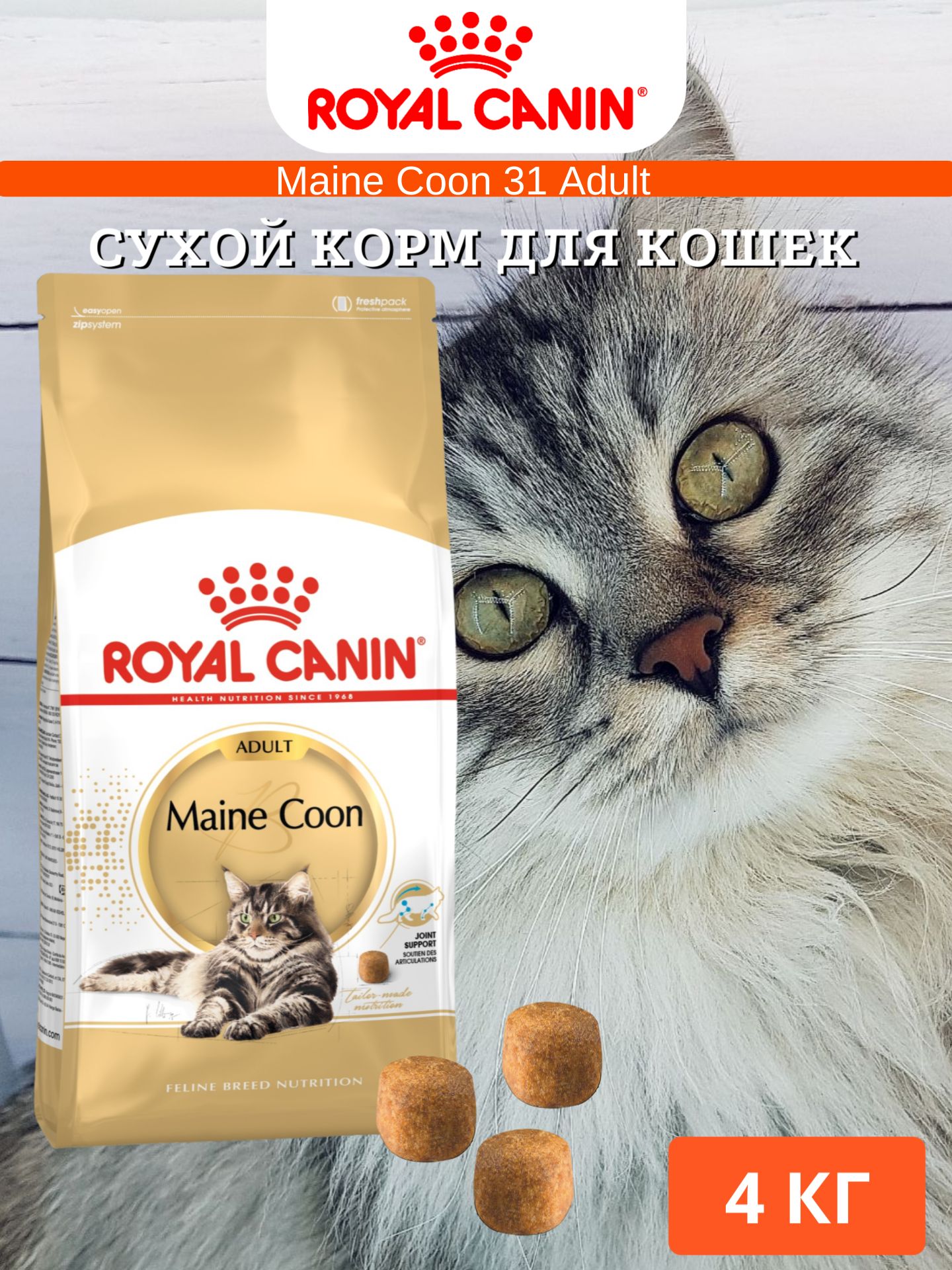 Сухой корм для кошек Royal Canin Maine Coon 31 Adult 4кг