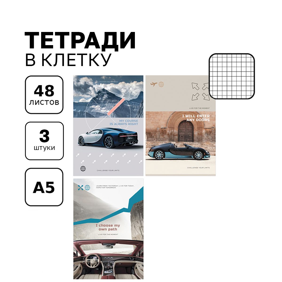 Тетрадь BG A4 (21 × 29.7 см), A4 (21 × 29.7 см), 3 шт., листов: 96 - купить  с доставкой по выгодным ценам в интернет-магазине OZON (703380974)