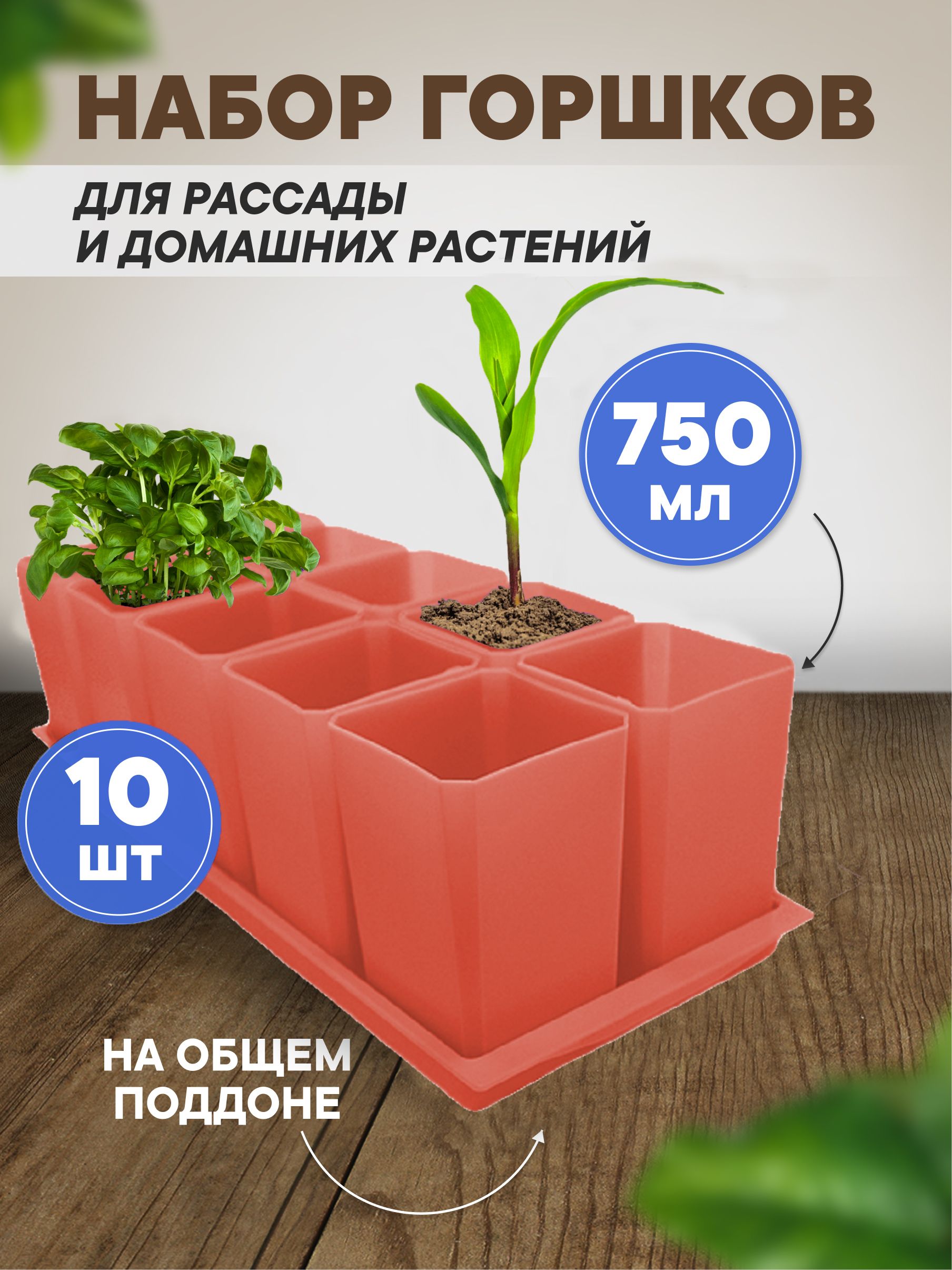 Горшки пластиковые для рассады купить в Украине в компании дачник-4.рф