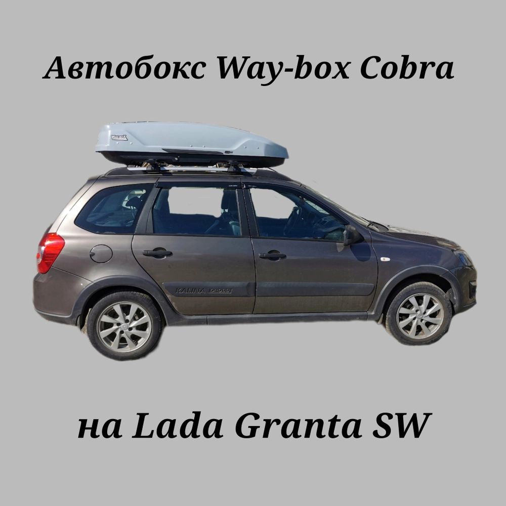Way box cobra. Way box cobra