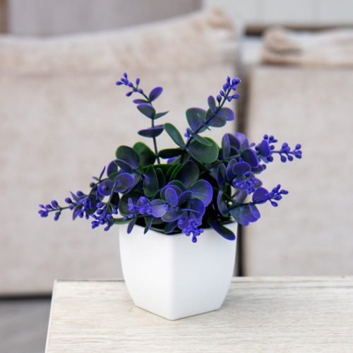 комнатные растения на кухне