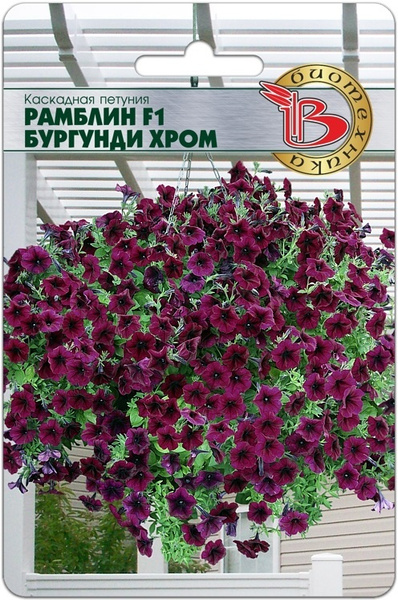 Петунии Биотехника Петуния каскадная "РАМБЛИН БУРГУНДИ ХРОМ" F1 ...
