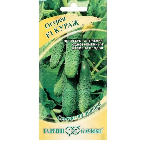 Огурцы Гавриш semena32-75983795 - купить по выгодным ценам в интернет ...