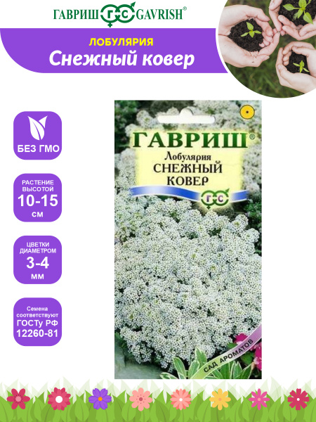 Алиссум Снежный ковер Гавриш (91891): купить семена почтой в России интернет-маг