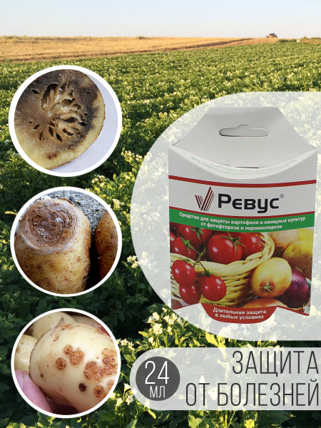 Средство защиты растений от болезней картофеля фитофтороза и ...