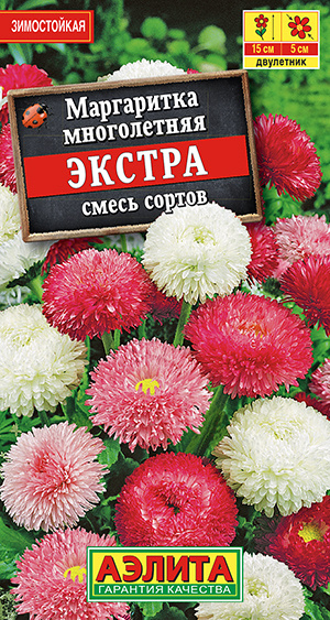 Маргаритки Агрофирма Аэлита 46-AMARGO_белый_розовый_малиновый_Экстра ...
