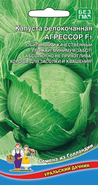 Капуста агрессор фото описание Капуста Уральский дачник Капуста белокочанная Агрессор F1 - купить по выгодным ц