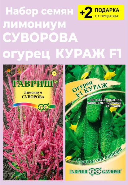Лимониум (Кермек), Статица Проверенные семена Суворова_разноцветный ...