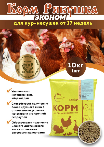 Корм Рябушка Эконом для кур-несушек от 17 недель 10кг - купить с ...