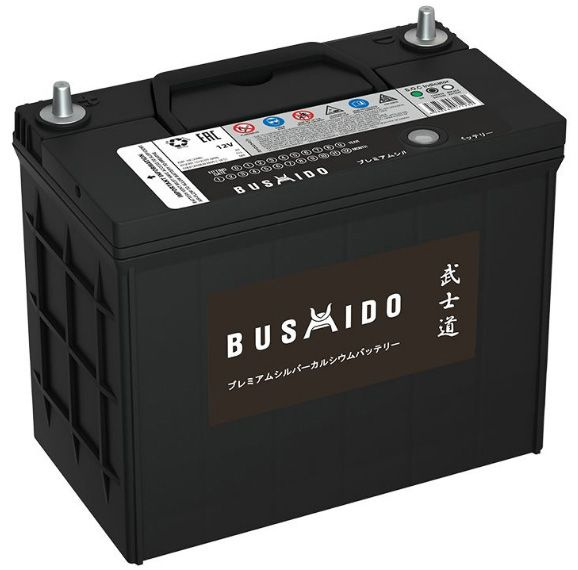 Аккумулятор автомобильный Bushido Bushido_ASIA купить по выгодной цене ...