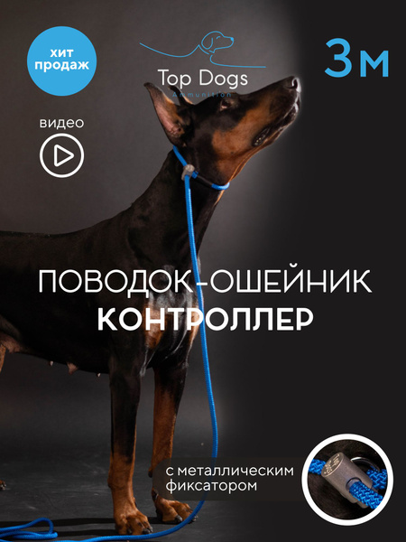 Поводок-ошейник "Контроллер" с металлическим фиксатором - купить с ...